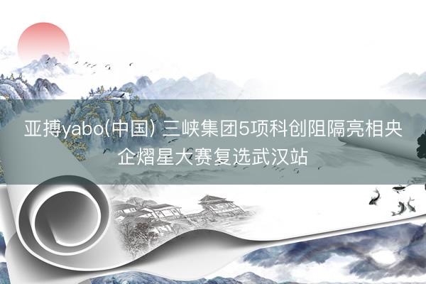 亚搏yabo(中国) 三峡集团5项科创阻隔亮相央企熠星大赛复选武汉站