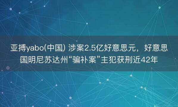 亚搏yabo(中国) 涉案2.5亿好意思元，好意思国明尼苏达州“骗补案”主犯获刑近42年