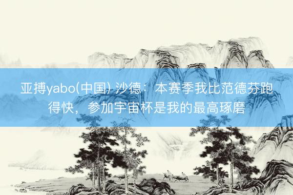 亚搏yabo(中国) 沙德：本赛季我比范德芬跑得快，参加宇宙杯是我的最高琢磨