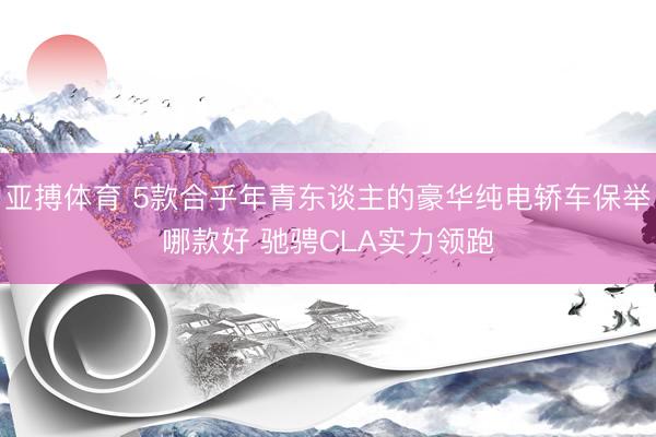 亚搏体育 5款合乎年青东谈主的豪华纯电轿车保举哪款好 驰骋CLA实力领跑