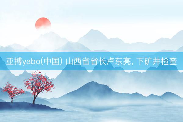 亚搏yabo(中国) 山西省省长卢东亮, 下矿井检查