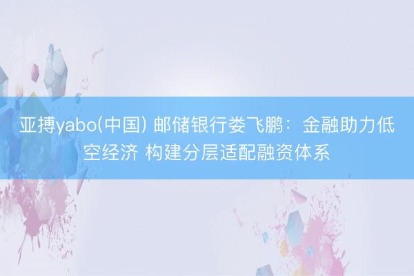 亚搏yabo(中国) 邮储银行娄飞鹏：金融助力低空经济 构建分层适配融资体系