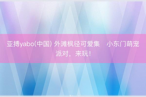 亚搏yabo(中国) 外滩枫径可爱集・小东门萌宠派对，来玩！