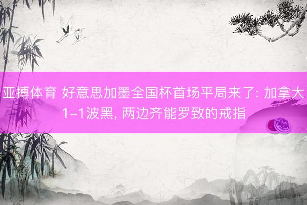 亚搏体育 好意思加墨全国杯首场平局来了: 加拿大1-1波黑， 两边齐能罗致的戒指