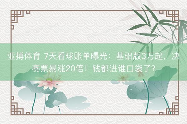 亚搏体育 7天看球账单曝光：基础版3万起，决赛票暴涨20倍！钱都进谁口袋了？