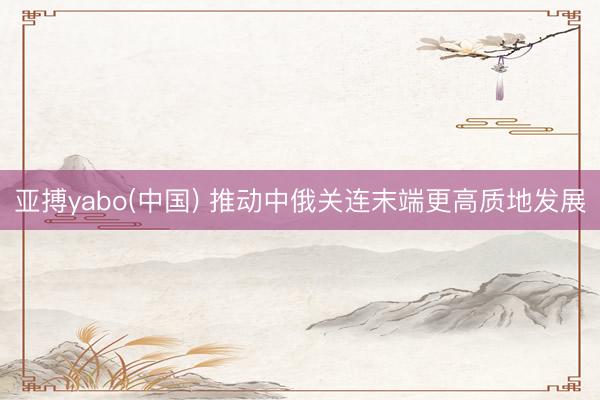 亚搏yabo(中国) 推动中俄关连末端更高质地发展
