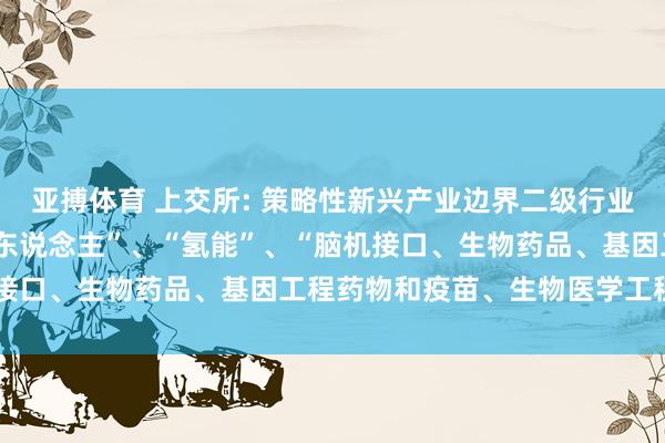 亚搏体育 上交所: 策略性新兴产业边界二级行业拟新增“量子”、“机器东说念主”、“氢能”、“脑机接口、生物药品、基因工程药物和疫苗、生物医学工程”等